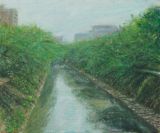 松川べりの緑の桜並木
