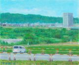 夏、緑の神通川河川敷